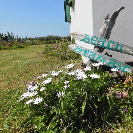 Davanti Al Mare Con Ampio Giardino E Parcheggio Gratuito Appartement Santa Caterina