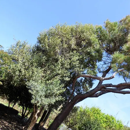 Davanti Al Mare Con Ampio Giardino E Parcheggio Gratuito Santa Caterina