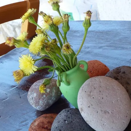 Апартаменты Davanti Al Mare Con Ampio Giardino E Parcheggio Gratuito Санта-Катерина