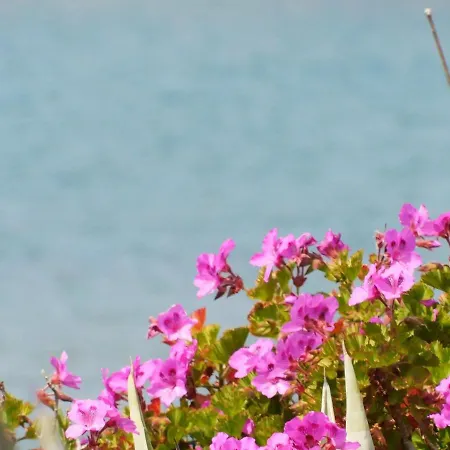 Davanti Al Mare Con Ampio Giardino E Parcheggio Gratuito