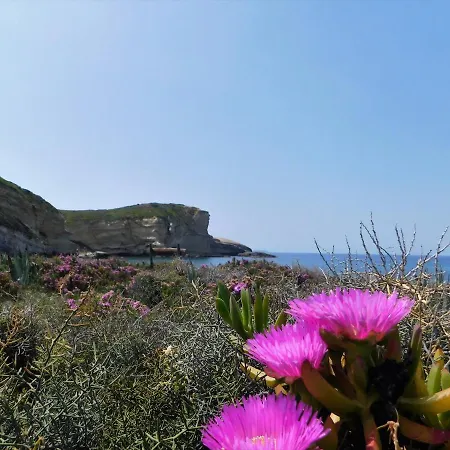 Lejlighed Davanti Al Mare Con Ampio Giardino E Parcheggio Gratuito Santa Caterina
